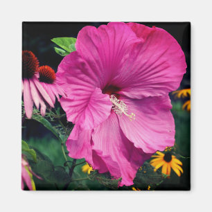 Hibiskus- und Freundschafts-Blumengarten Magnet