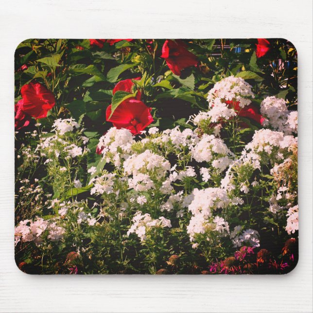 Hibiskus- und Phlox-Blumengarten Mousepad (Vorne)
