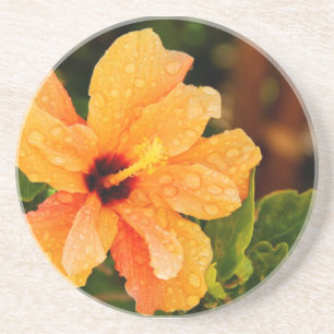 Hibiskus Untersetzer