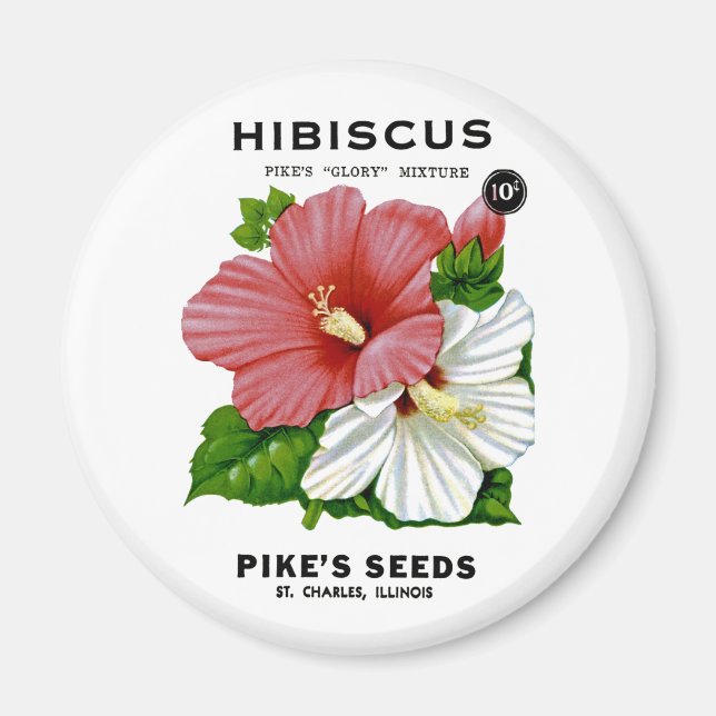 Hibiskus Vintages Saatgut Magnet (Vorne)