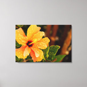 Hibiskusblütenfotografie Leinwanddruck