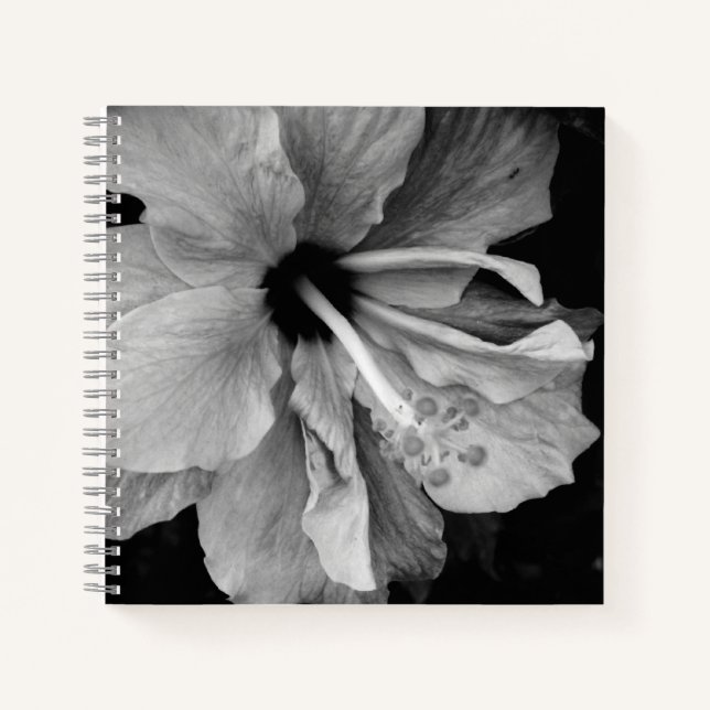 Hibiskusblütenfotografie Notizbuch (Vorderseite)