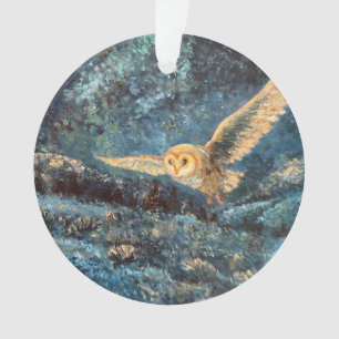 Hibou au clair de lune : Effraie dans une prairie 