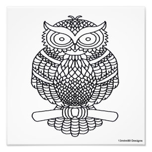 Hibou (blanc) - Impression photo