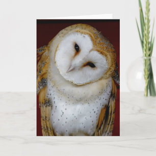 hibou de grange toute carte de voeux de note ou