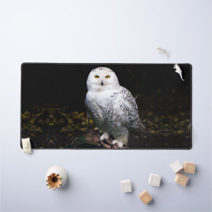 Hibou des neiges majestueux d'hiver