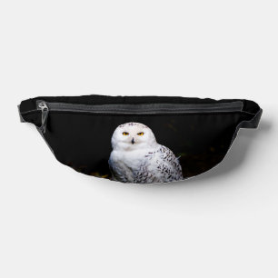Hibou des neiges majestueux d'hiver
