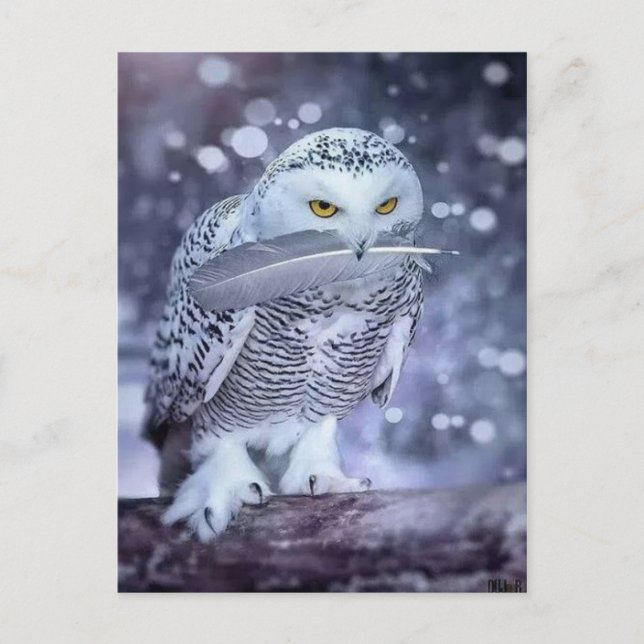 Hibou des neiges postkarte (Vorderseite)
