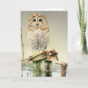 Hibou fauve dans la carte de beaux-arts de neige