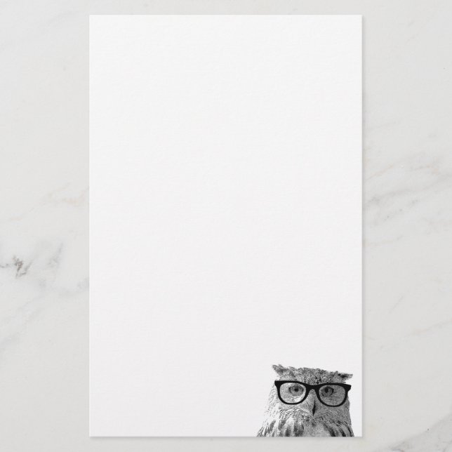 Hibou mignon avec le papier de papeterie en verre (Devant)