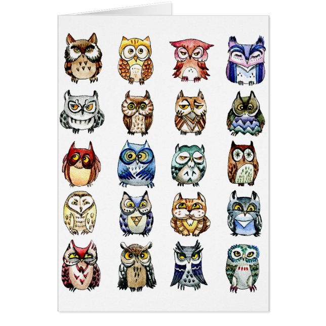 Hiboux et chat (Devant)