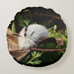 Hickory Tussock Moth Rundes Kissen