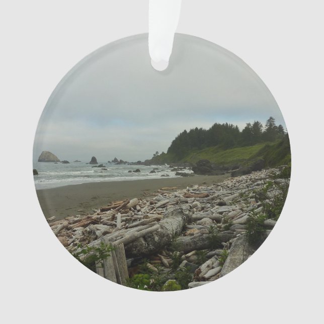Hidden Beach I at Redwood National Park (devant)
