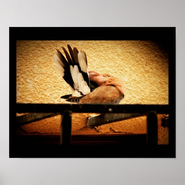 Hidden Beauty Poster (Vorne)