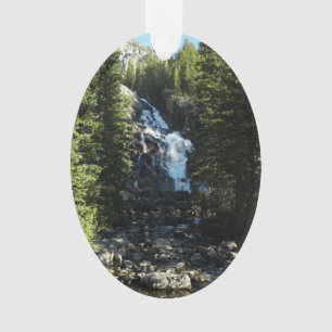 Hidden Falls im Grand Teton National Park Ornament