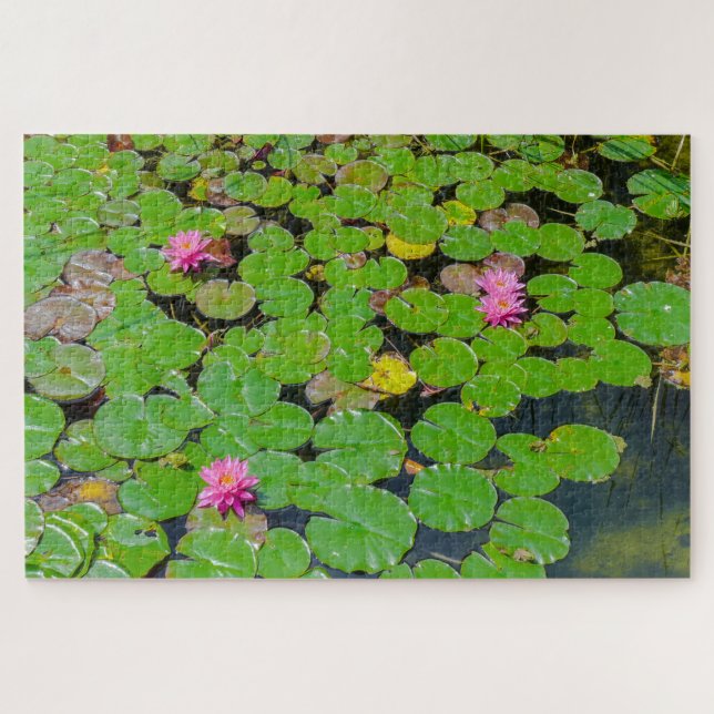 Hidden Frosch (Horizontal)