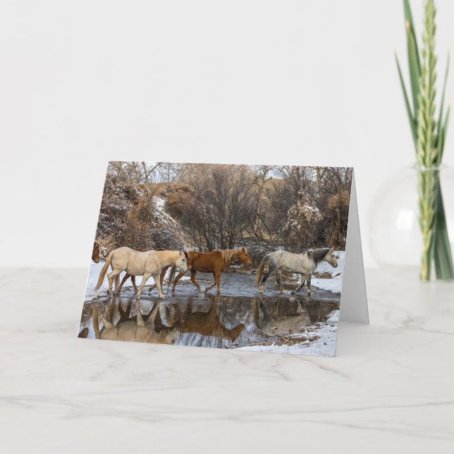 Hideout Horse Ranch Karte (Vorderseite)