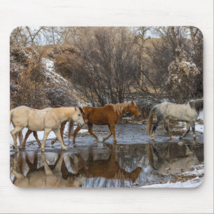 Hideout Horse Ranch Mousepad