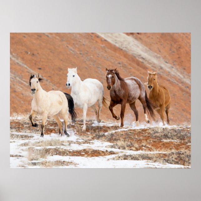 Hideout Ranch mit kleinem Pferdebestand im Schnee Poster (Vorne)