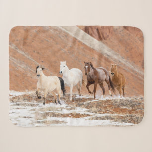 Hideout Ranch mit kleinem Pferdebestand im Schnee Sherpadecke