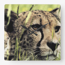 "Hiding Cheetah"