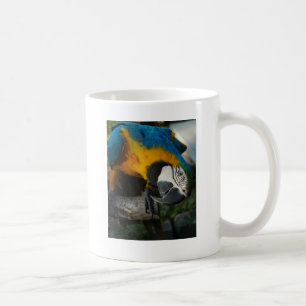 hier betrachtet Sie Kaffeetasse