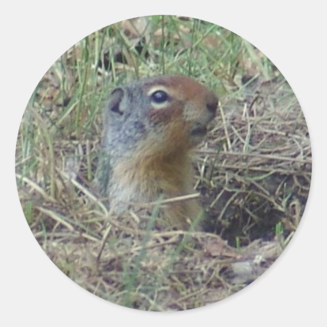 Hier bin ich runder aufkleber (Vorderseite)