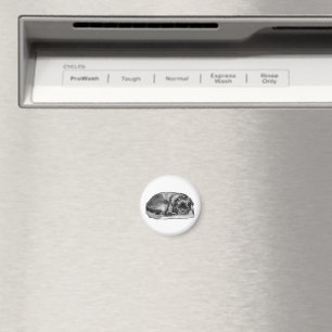 Hier bleiben magnet