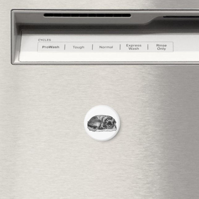 Hier bleiben magnet (In Situ (Geschirrspüler))