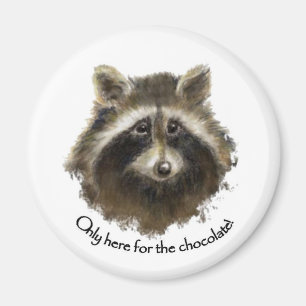 Hier für Schokolade, Niedlicher Raccoon, Tier Magnet