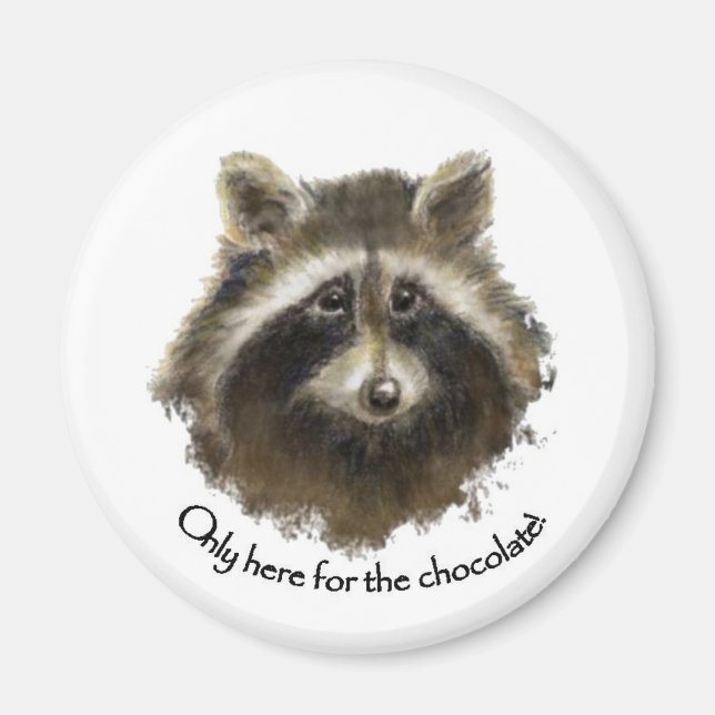 Hier für Schokolade, Niedlicher Raccoon, Tier Magnet (Vorne)