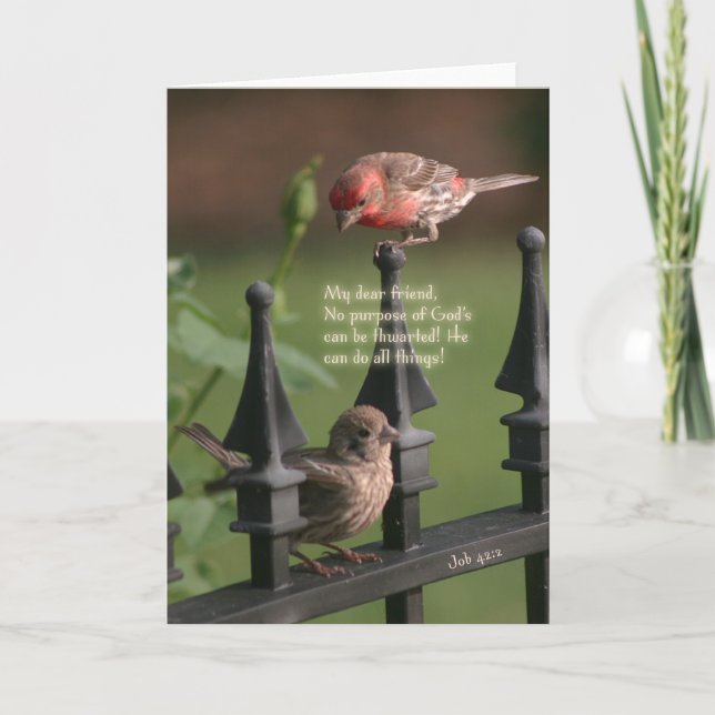 Hier für Sie Karte (Vorderseite)