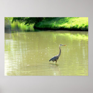 HIER IN POND/SHADES VON GRÜNEN/GELB/FOTOG. POSTER