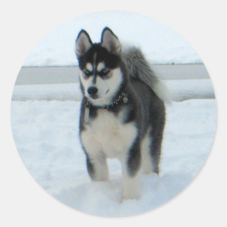 Hier ist Ärger Runder Aufkleber