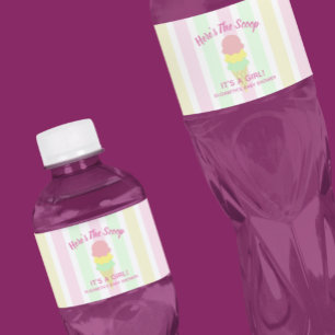 Hier ist der Scoop Eiscreme Sommer Baby Shower