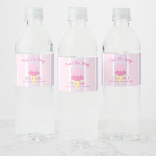 Hier ist die Scoop Ice Cream Summer Baby Dusche