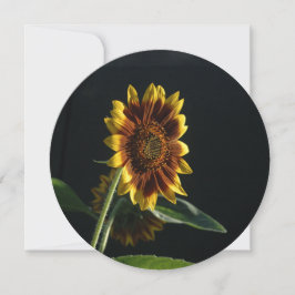 Hier kommt die Sonnenblume. Einladung