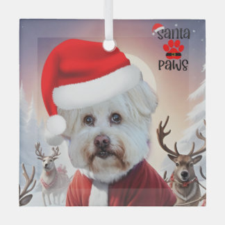 Hier kommt Santa Dog Ornament Aus Glas
