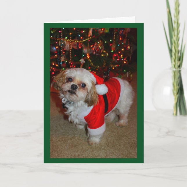 Hier kommt Santa Paws! Karte (Vorderseite)