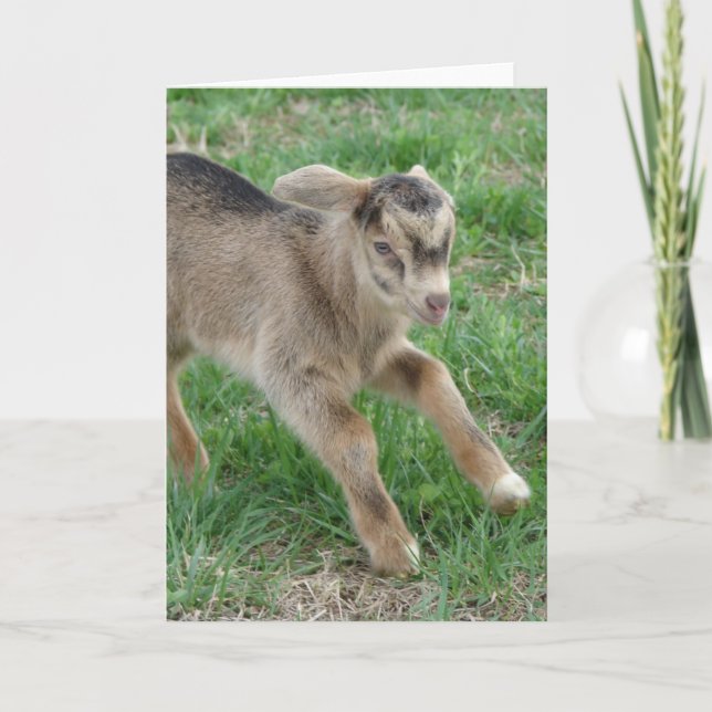 Hier kommt Thunder Karte (Vorderseite)