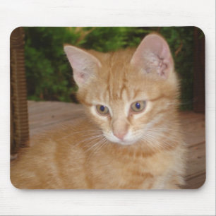 Hier Mousey, Mousey! Mousepad