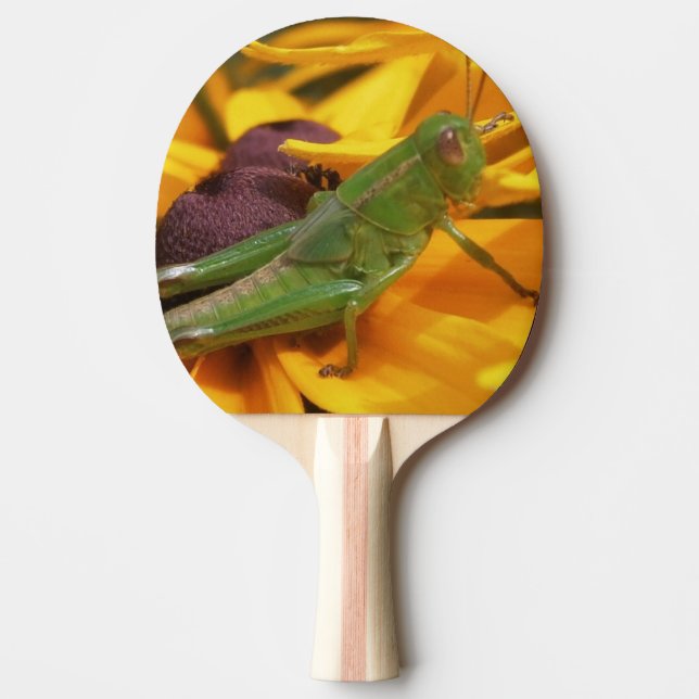Hier sehen Sie - Grasshopper Tischtennis Schläger (Vorderseite)