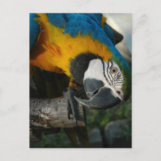 Hier sehen Sie Postkarte