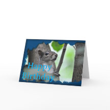 Hier siehst du ihn - Ein Eichhörnchen in Blau_0213