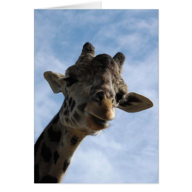 Hier sieht man dich an! (Vorne)