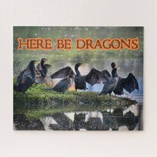 Hier sind Drachen Kormorane Seite gegenüber