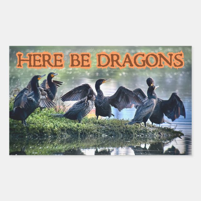 Hier sind Dragons Cormorants Rechteckiger Aufkleber (Vorderseite)