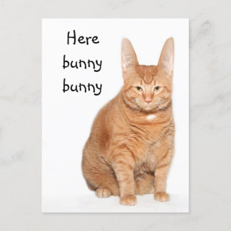 Hier sonniger Hase Postkarte