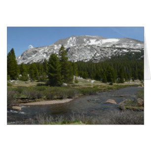 High Country Mountain Stream II à Yosemite