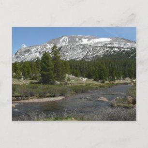 High Country Mountain Stream II im Yosemite Postkarte